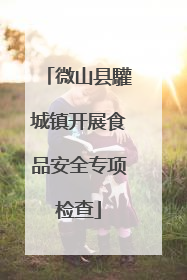 微山县驩城镇开展食品安全专项检查