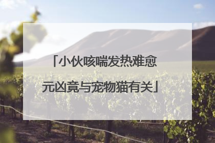 小伙咳喘发热难愈 元凶竟与宠物猫有关