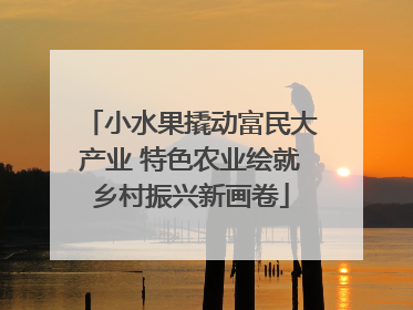小水果撬动富民大产业 特色农业绘就乡村振兴新画卷