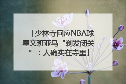 少林寺回应NBA球星文班亚马“剃发闭关”：人确实在寺里