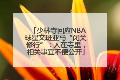 少林寺回应NBA球星文班亚马“闭关修行”：人在寺里，相关事宜不便公开