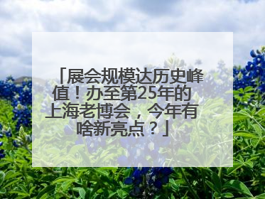 展会规模达历史峰值！办至第25年的上海老博会，今年有啥新亮点？