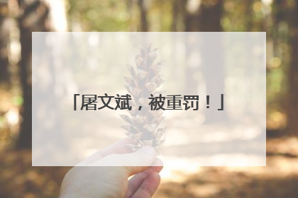 屠文斌，被重罚！