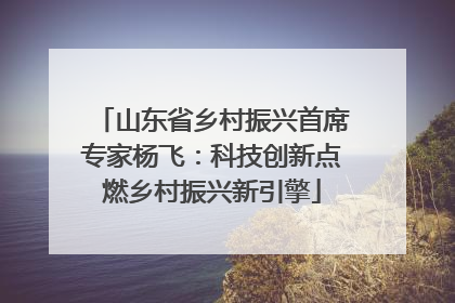山东省乡村振兴首席专家杨飞：科技创新点燃乡村振兴新引擎