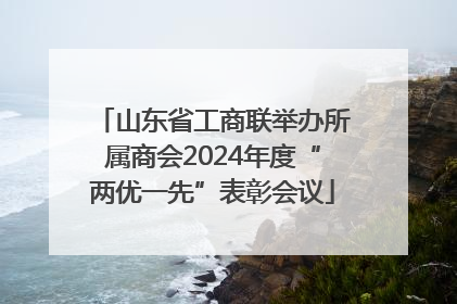 山东省工商联举办所属商会2024年度“两优一先”表彰会议