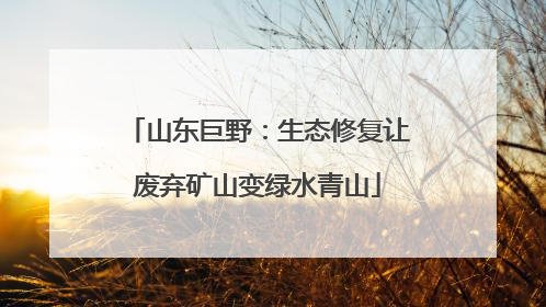 山东巨野：生态修复让废弃矿山变绿水青山