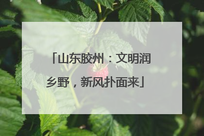 山东胶州：文明润乡野，新风扑面来