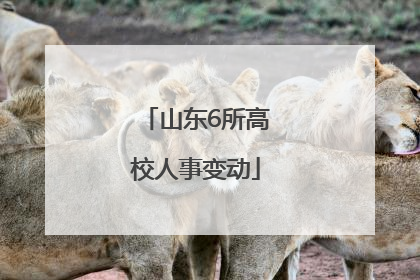 山东6所高校人事变动