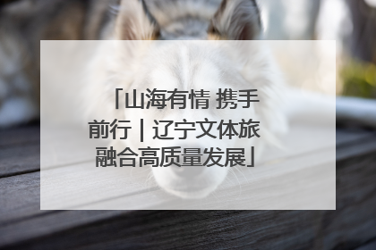 山海有情 携手前行｜辽宁文体旅融合高质量发展