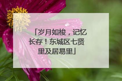 岁月如梭，记忆长存！东城区七贤里及居易里