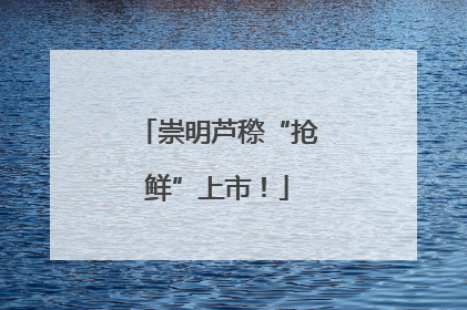 崇明芦穄“抢鲜”上市！