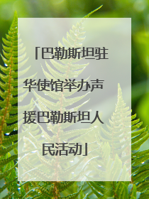 巴勒斯坦驻华使馆举办声援巴勒斯坦人民活动