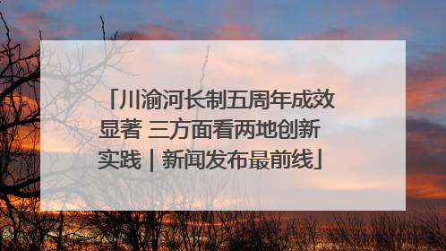 川渝河长制五周年成效显著 三方面看两地创新实践｜新闻发布最前线