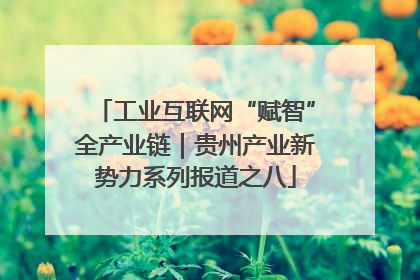 工业互联网“赋智”全产业链｜贵州产业新势力系列报道之八
