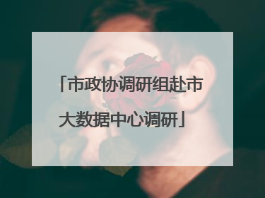 市政协调研组赴市大数据中心调研