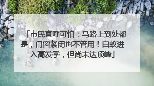 市民直呼可怕：马路上到处都是，门窗紧闭也不管用！白蚁进入高发季，但尚未达顶峰