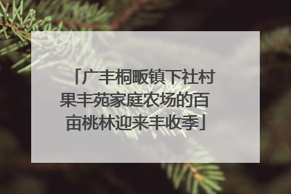 广丰桐畈镇下社村果丰苑家庭农场的百亩桃林迎来丰收季