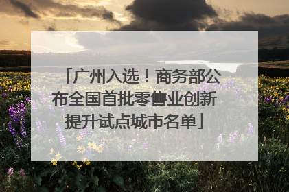 广州入选！商务部公布全国首批零售业创新提升试点城市名单