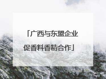 广西与东盟企业促香料香精合作