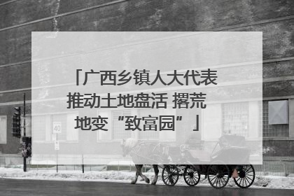 广西乡镇人大代表推动土地盘活 撂荒地变“致富园”