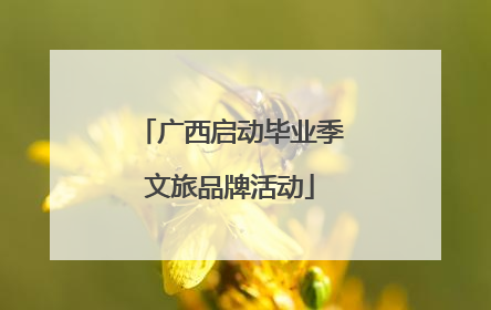 广西启动毕业季文旅品牌活动
