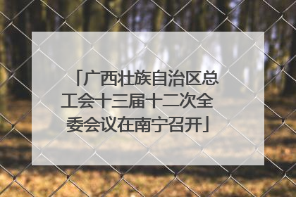 广西壮族自治区总工会十三届十二次全委会议在南宁召开
