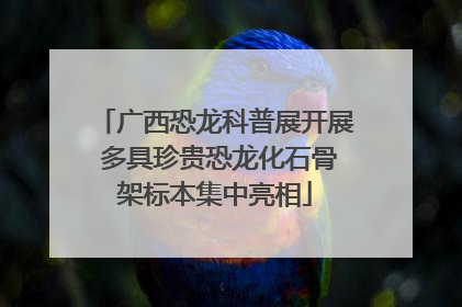 广西恐龙科普展开展 多具珍贵恐龙化石骨架标本集中亮相