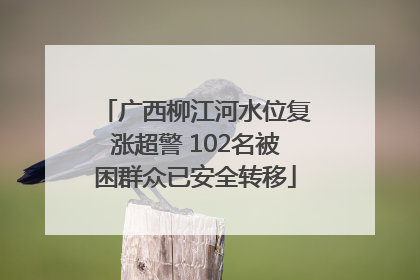 广西柳江河水位复涨超警 102名被困群众已安全转移