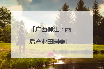 广西柳江：雨后产业田园美