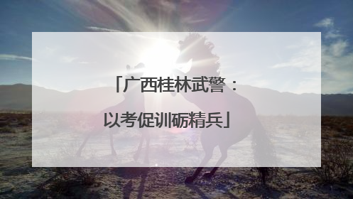 广西桂林武警：以考促训砺精兵