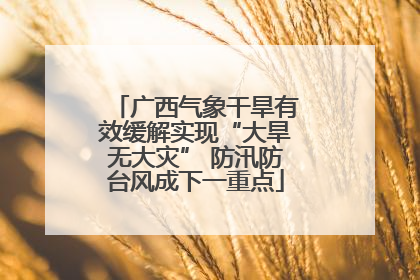 广西气象干旱有效缓解实现“大旱无大灾” 防汛防台风成下一重点