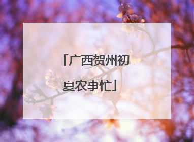 广西贺州初夏农事忙