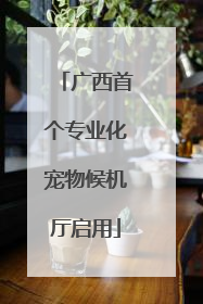 广西首个专业化宠物候机厅启用
