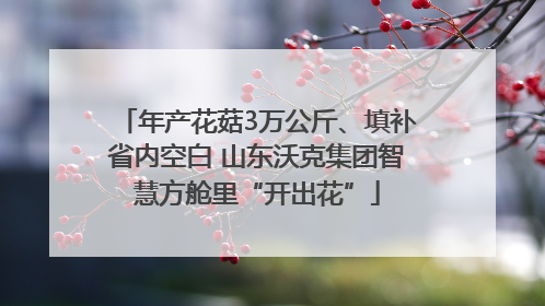 年产花菇3万公斤、填补省内空白 山东沃克集团智慧方舱里“开出花”