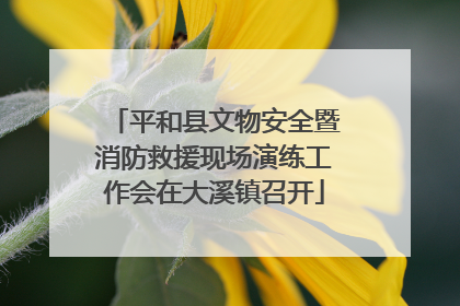 平和县文物安全暨消防救援现场演练工作会在大溪镇召开
