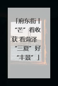 府东街丨“芒”着收获 看菏泽“三夏”好“丰景”