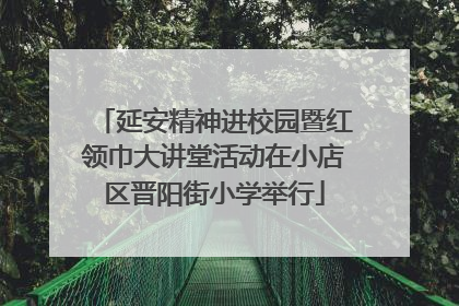 延安精神进校园暨红领巾大讲堂活动在小店区晋阳街小学举行