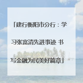 建行衡阳市分行：学习张富清先进事迹 书写金融为民美好篇章
