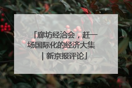 廊坊经洽会，赶一场国际化的经济大集｜新京报评论