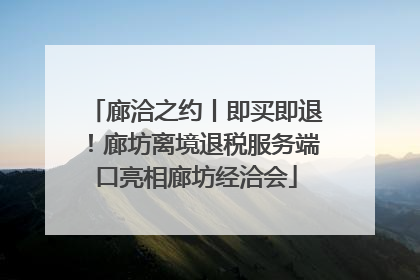 廊洽之约丨即买即退！廊坊离境退税服务端口亮相廊坊经洽会
