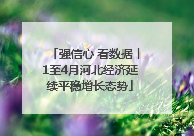 强信心 看数据丨1至4月河北经济延续平稳增长态势