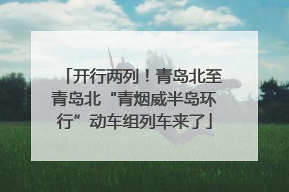 开行两列！青岛北至青岛北“青烟威半岛环行”动车组列车来了