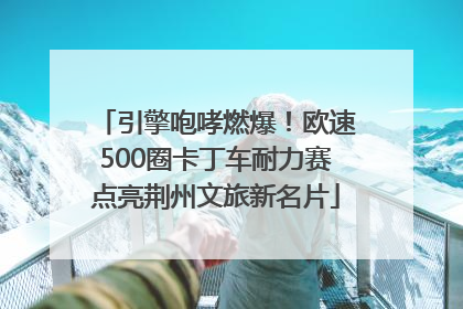 引擎咆哮燃爆！欧速500圈卡丁车耐力赛点亮荆州文旅新名片