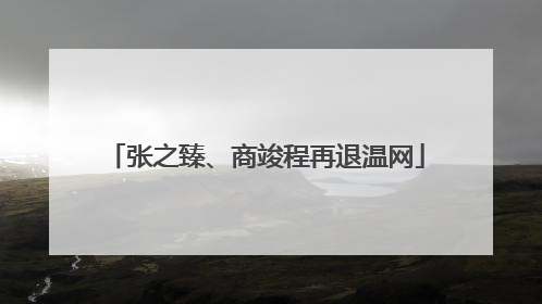 张之臻、商竣程再退温网