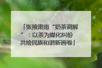 张掖肃南“奶茶调解”：以茶为媒化纠纷 共绘民族和谐新画卷