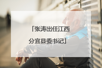 张涛出任江西分宜县委书记