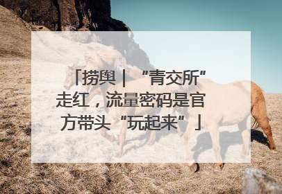 捞舆｜“青交所”走红，流量密码是官方带头“玩起来”