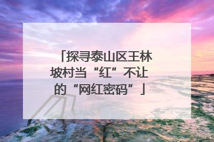 探寻泰山区王林坡村当“红”不让的“网红密码”
