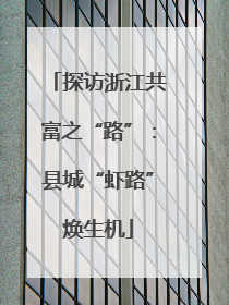 探访浙江共富之“路”：县城“虾路”焕生机