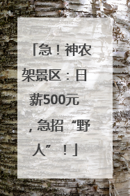 急！神农架景区：日薪500元，急招“野人”！